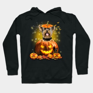 Yorkshire Terrier Spooky Halloween Pumpkin Dog Head Hoodie
